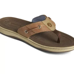Sandals|Shoes^Sperry Men's Baitfish Flip Flops Tan Leather