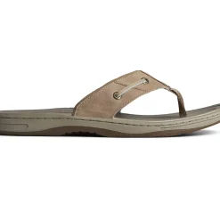Sandals|Shoes^Sperry Men's Baitfish Leather Flip Flop Taupe
