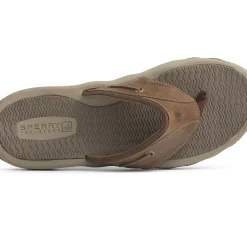 Sandals|Shoes^Sperry Men's Outer Banks Flip Flop Brown