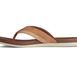 Shoes^Sperry Men's PLUSHWAVE&trade; Thong Sandal Tan