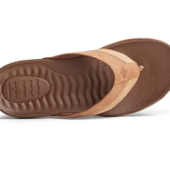 Shoes^Sperry Men's PLUSHWAVE&trade; Thong Sandal Tan