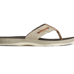 SeaCycled|Sandals^Sperry Men's SeaCycled™ Baitfish Baja Flip Flop Taupe