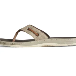 SeaCycled|Sandals^Sperry Men's SeaCycled&trade; Baitfish Baja Flip Flop Taupe