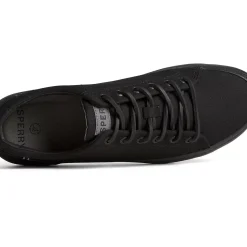 Sneakers|Shoes^Sperry SeaCycled&trade; Striper II Textile Sneaker Black