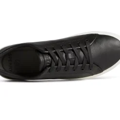 Striper II Sneakers|Sneakers^Sperry Striper II LLT Leather Sneaker Black