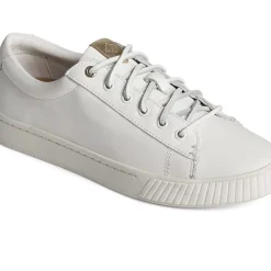Sale|Sneakers^Sperry Women's Anchor Leather Sneaker White